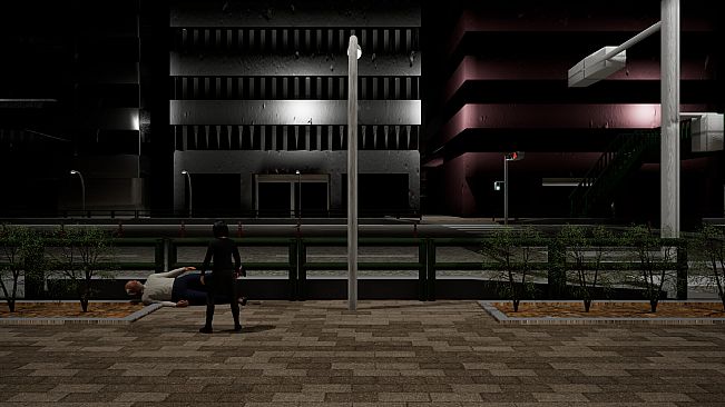 横断異道-The Crosswalk Anomaly