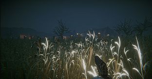 Last Alive