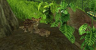 Wildlife Park 3 - Amazonas