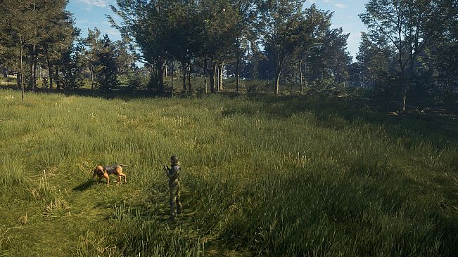 theHunter: Call of the Wild - Bloodhound