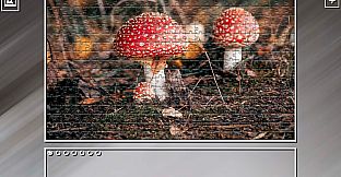 Super Jigsaw Puzzle: Generations - Red Things