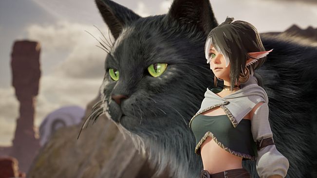 Ylem's Cat