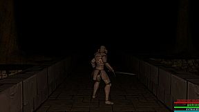 MEDIEVAL WARRIOR SIMULATOR