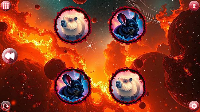 Space Memory: Rodents