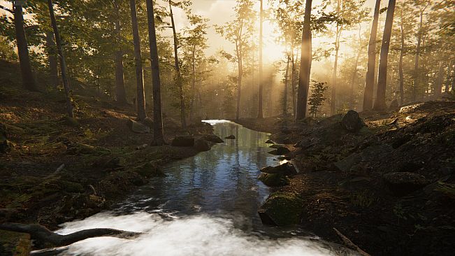 Camping Vlog Simulator 2024