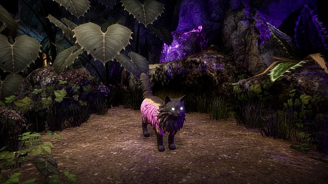 Another Sight - Hodge Skins