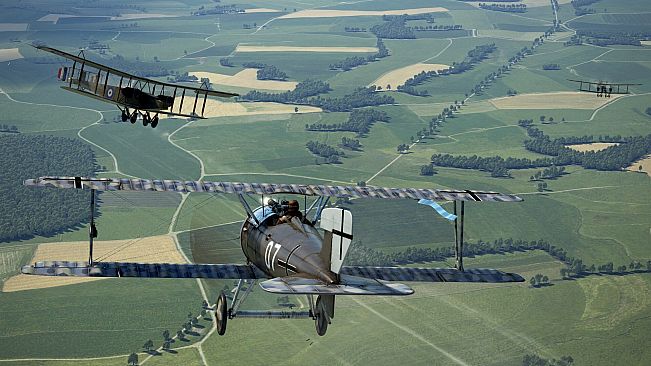 IL-2 Sturmovik: SSW D.IV Collector Plane