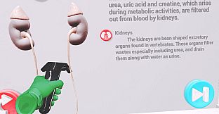 VRLab Academy Anatomy VR