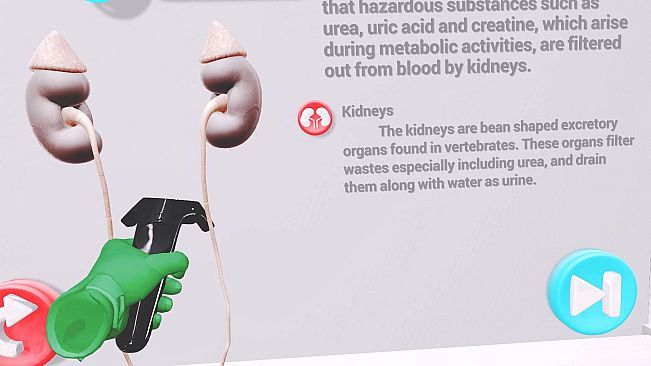 VRLab Academy Anatomy VR