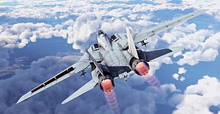 War Thunder - F-14D Bundle