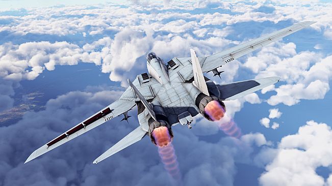 War Thunder - F-14D Bundle