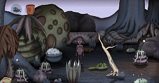 non - The First Warp