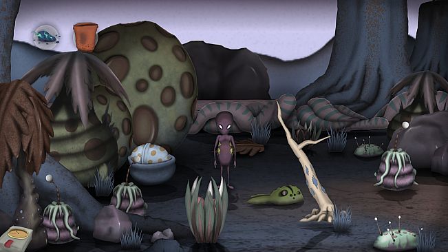 non - The First Warp