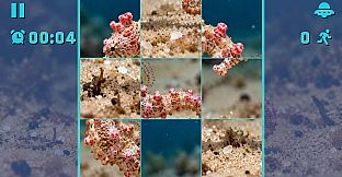 Puzzle Seahorses