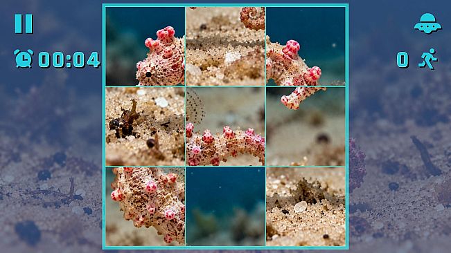 Puzzle Seahorses