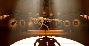 Museum 8