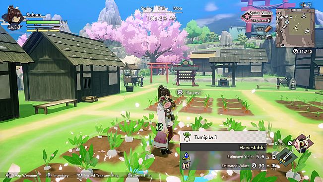 Rune Factory: Guardians of Azuma