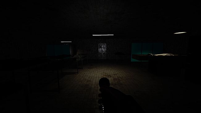 Phobophobia 1.0 – The Experiment