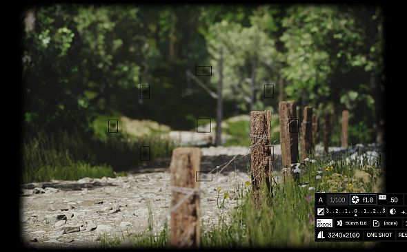 Lushfoil Photography Sim