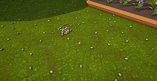 Odd Rock Out