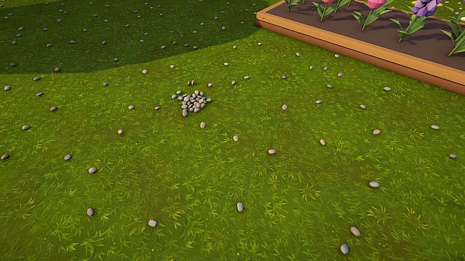 Odd Rock Out