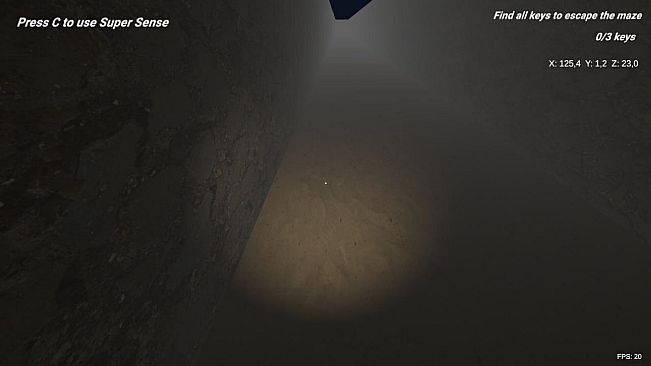 SHADOW MAZE Descent into Fear