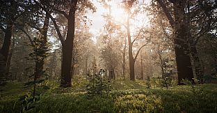 PROJECT D : Human Risen