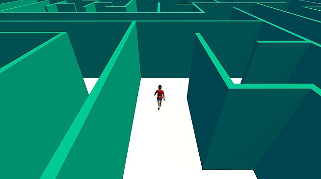 Maze Mania: The Ultimate 3D Maze Game