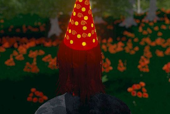 Hide and Seek - Party Hat