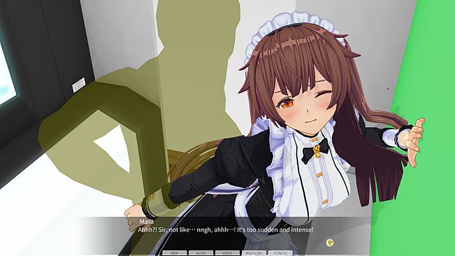 CUSTOM ORDER MAID 3D2 & 2.5 + V01