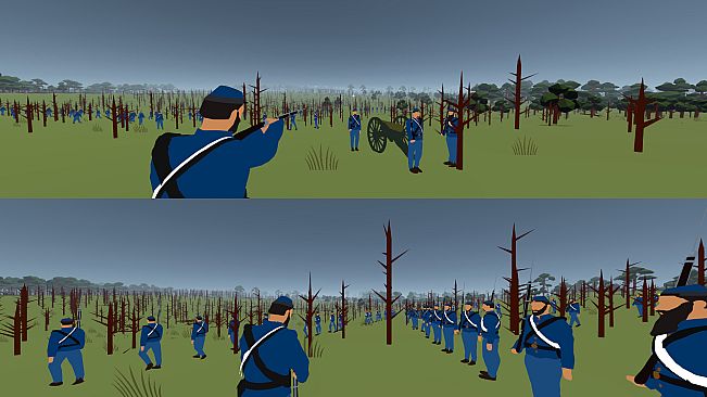 Rebel Reenactment: Battle of the Wilderness