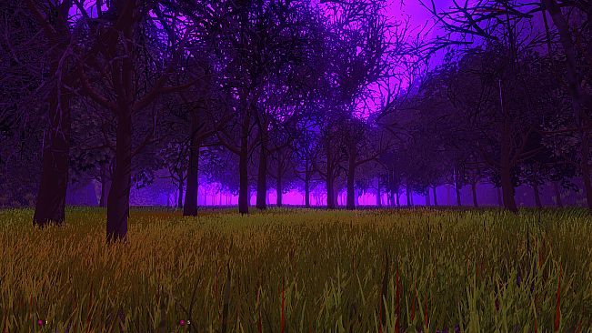 The Rain Spirit : Code Breaker