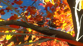 紅葉の泣き声