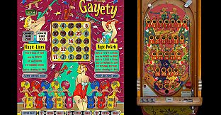 Bingo Pinball Gameroom - Bally Gayety