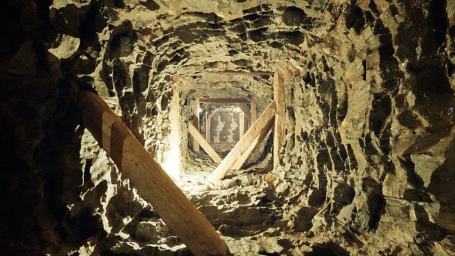 Mineshaft Maze