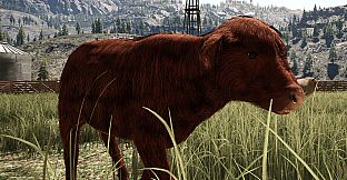 Ranch Simulator: Highland Cows Pack - Build, Farm, Hunt