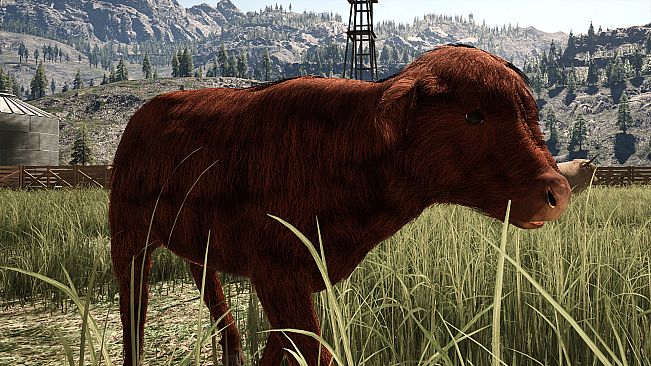 Ranch Simulator: Highland Cows Pack - Build, Farm, Hunt
