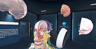 Human Anatomy VR