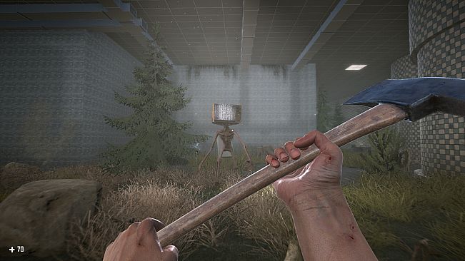 SURVIVAL IN THE BACKROOMS