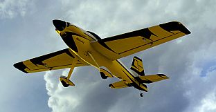 RealFlight Evolution - 2025 Year Content Pass