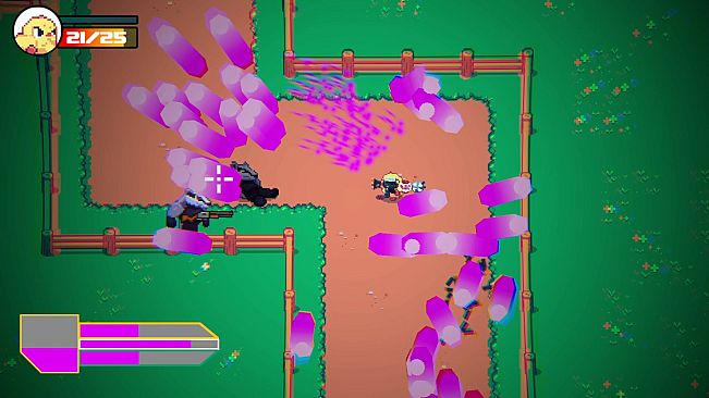 Why Did The Chicken Cross The Road?