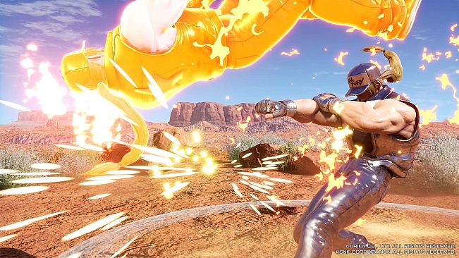 FIGHTING EX LAYER - Color Gold/Silver: Terry