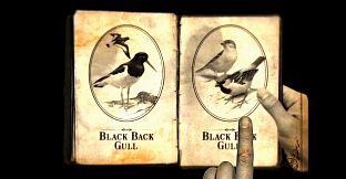 Lammana: The Looe Island Mystery