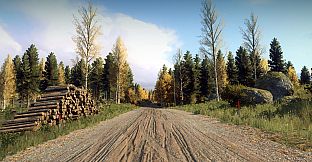 DiRT Rally 2.0 - Finland (Rally Location)