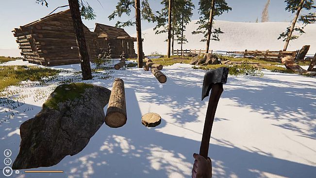 Alaska Survival