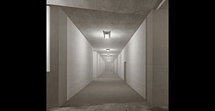 The Mysterious Backrooms