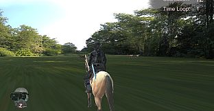 VAR paradise lifetime VIP