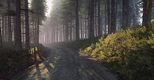 DiRT Rally 2.0 - Wales (Rally Location)