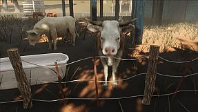 Call of the Golden Valley