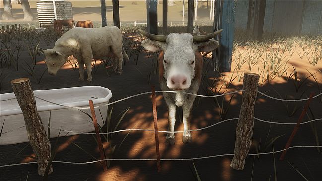 Call of the Golden Valley